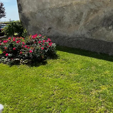 Holiday home Casale Storico Enzo *